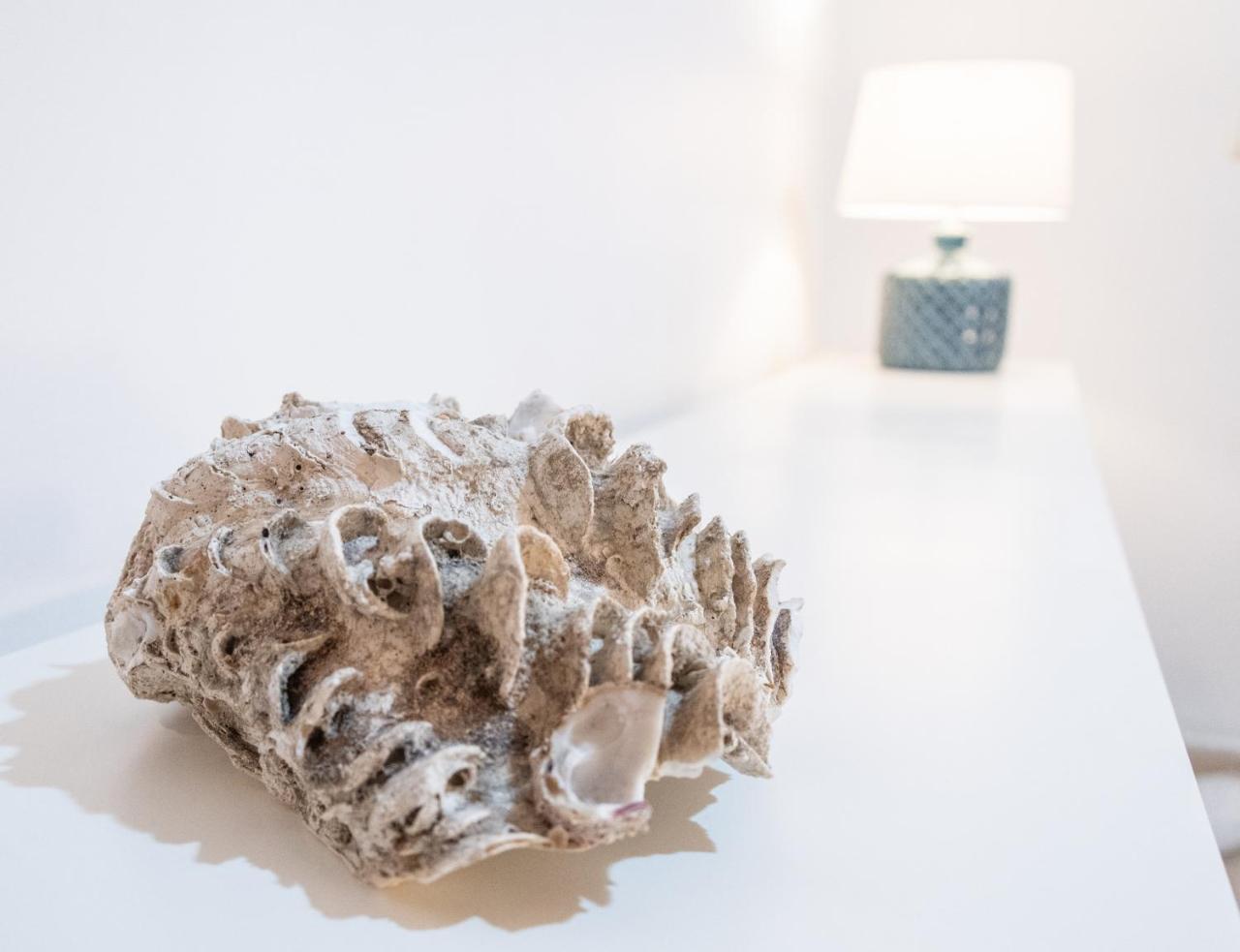 Apartamento Del Pescador De Cadiz Lejlighed Eksteriør billede